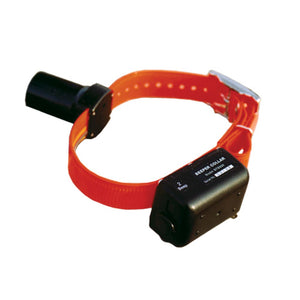 D.T. Systems Baritone Dog Beeper Collar Orange