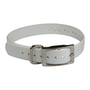 The Buzzard's Roost Replacement Collar Strap 1" White 1" x 24"