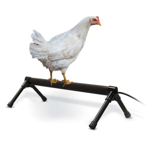 K&H Pet Products Thermo-Chicken Perch Gray 36" x 14" x 8"