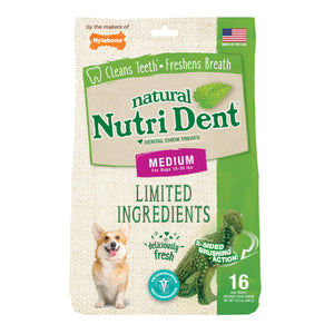 Nylabone Nutri Dent Limited Ingredient Dental Chews Fresh Breath T-Rex Medium 16 count