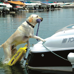 Pawz Pet Products Dog Boat Ladder Yellow 64" x 16"