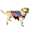 Pawz Pet Products Nylon Dog Life Jacket Large Flag