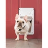 PetSafe SmartDoor Dog Door Small White 9" x 15.625"