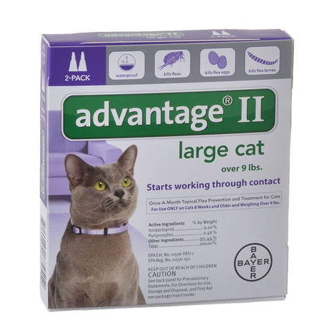 Advantage Flea Control for Cats and Kittens Over 9 lbs 2 Month Supply