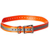 SportDOG Reflective Collar Strap Orange 28" x 0.75"